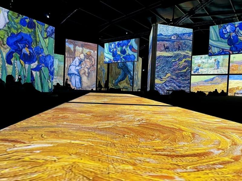 expo-van-gogh-alive-camino.jpg